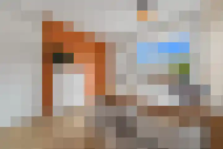 Balkengat 16 Den Hoorn thumbnail 8