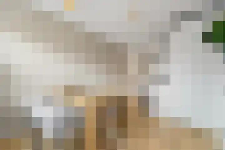 Balkengat 16 Den Hoorn thumbnail 9