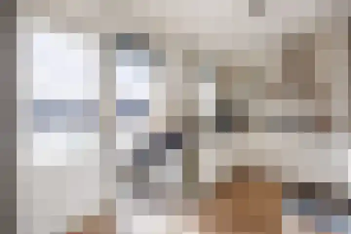 Balkengat 20 Den Hoorn thumbnail 10