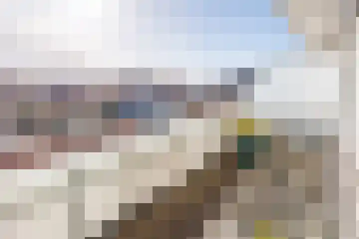Balkengat 20 Den Hoorn thumbnail 13