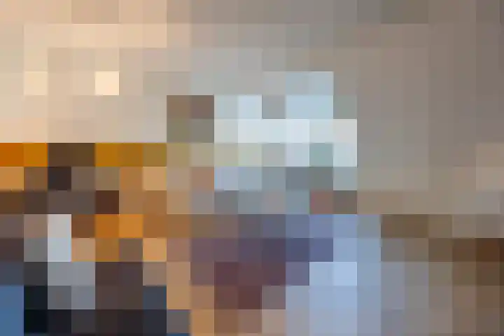 Balkengat 20 Den Hoorn thumbnail 4