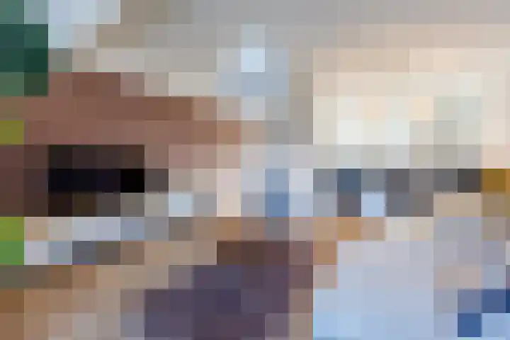 Balkengat 20 Den Hoorn thumbnail 7