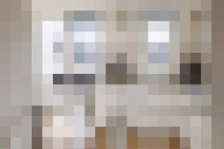 Balkengat 20 Den Hoorn thumbnail 8