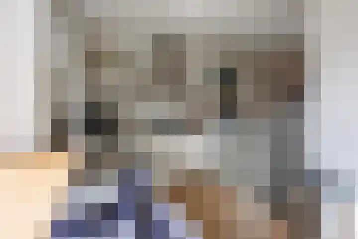 Balkengat 20 Den Hoorn thumbnail 9