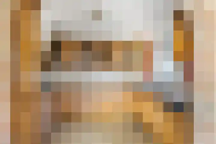 Balkepolle 14 Hindeloopen thumbnail 17