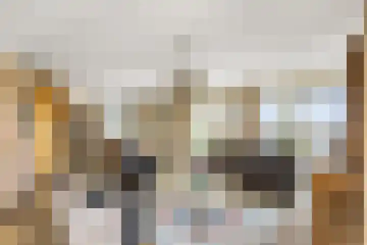 Balkepolle 14 Hindeloopen thumbnail 8