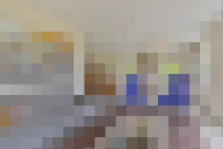 Balkerweg 20 i Ommen thumbnail 10