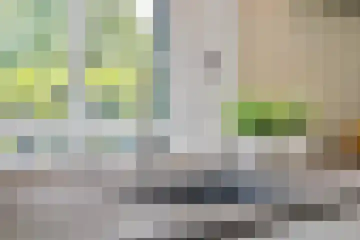Balkerweg 20 i Ommen thumbnail 20