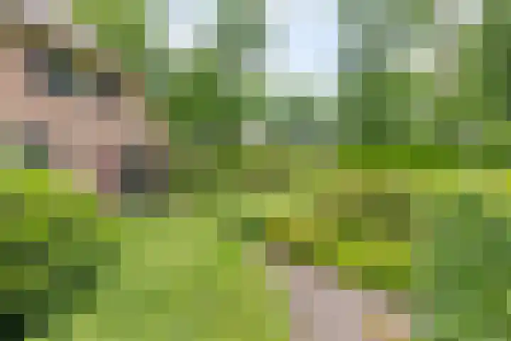 Balkerweg 20 i Ommen thumbnail 33