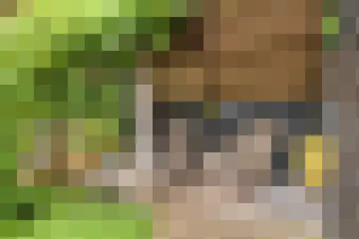 Balkerweg 20 i Ommen thumbnail 35
