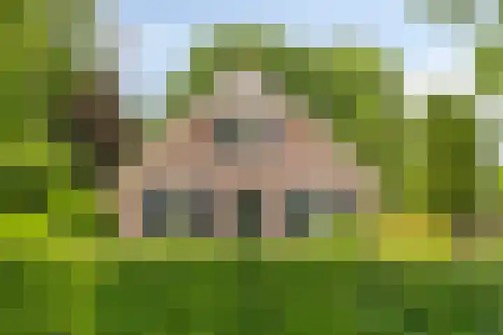 Balkerweg 20 i Ommen thumbnail 4