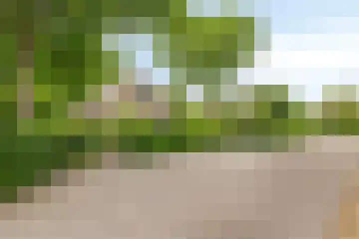 Balkerweg 20 i Ommen thumbnail 40