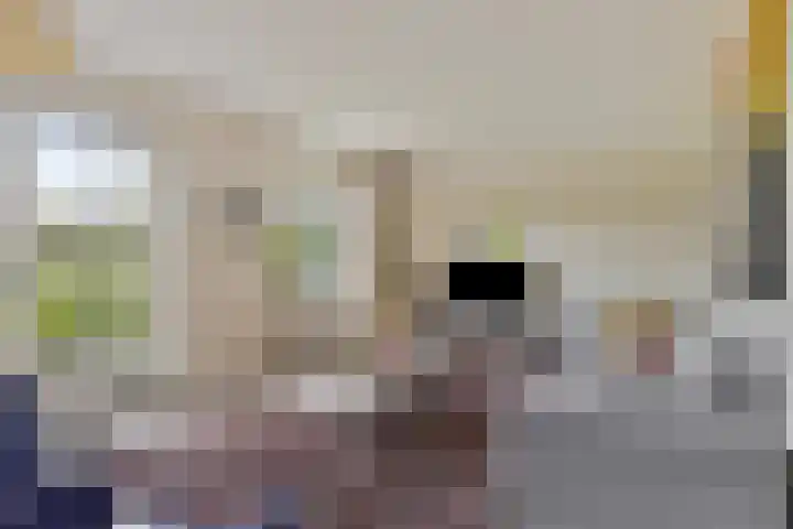 Balkerweg 20 i Ommen thumbnail 5