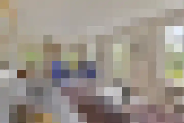 Balkerweg 20 i Ommen thumbnail 8