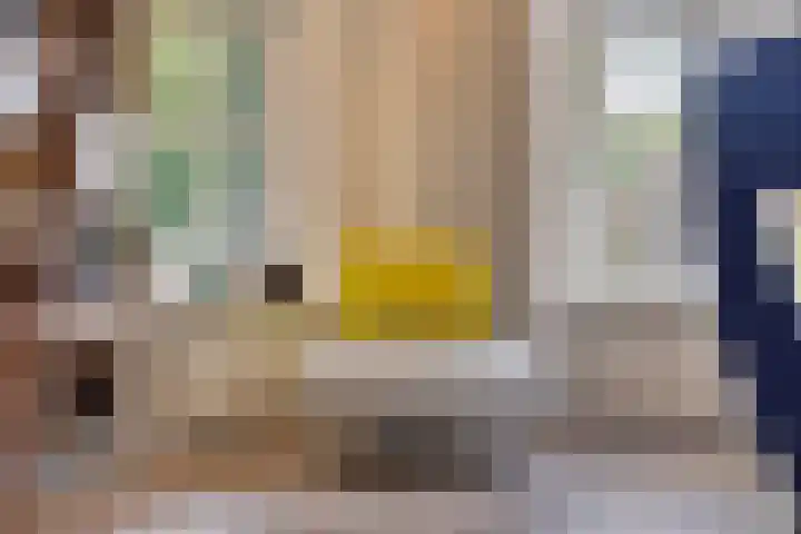 Balkerweg 20 i Ommen thumbnail 9