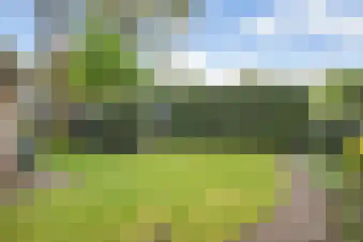 Balkerweg 7 Ommen thumbnail 7