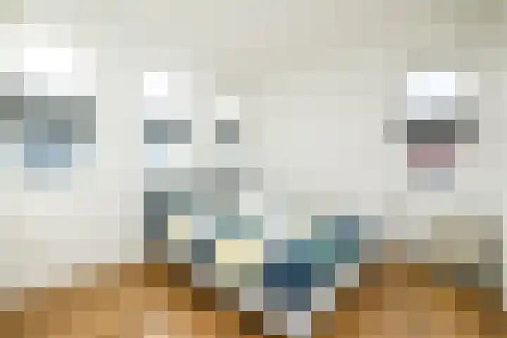 Balkstraat 1 Kampen thumbnail 19