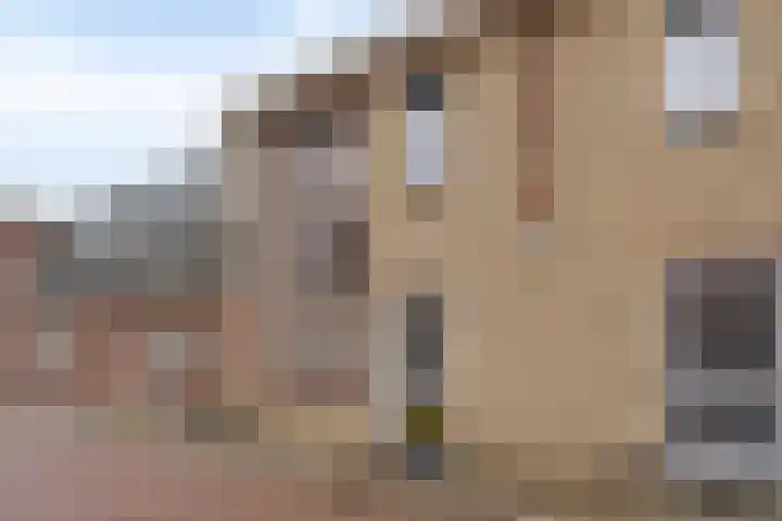 Balkstraat 7 Kampen thumbnail 10