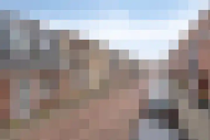 Balkstraat 7 Kampen thumbnail 8