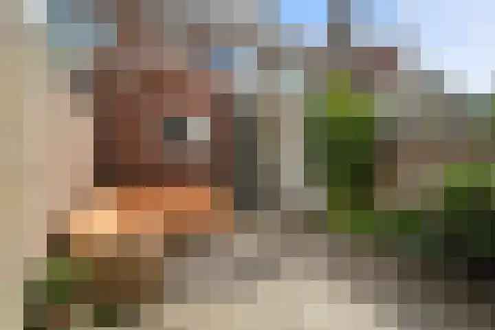 Balkstraat 8 Utrecht thumbnail 29