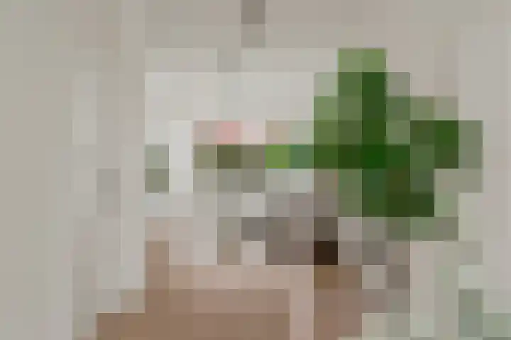 Balkstraat 8 Utrecht thumbnail 5