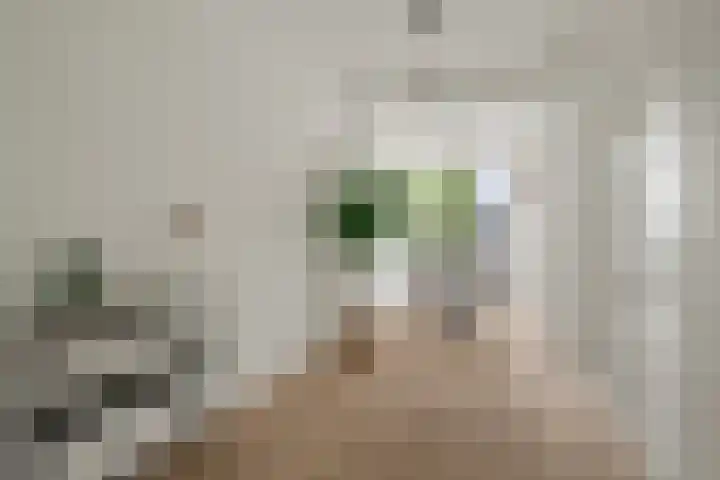 Balkstraat 8 Utrecht thumbnail 7