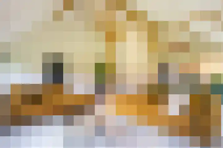 Balloo 90 Balloo thumbnail 15