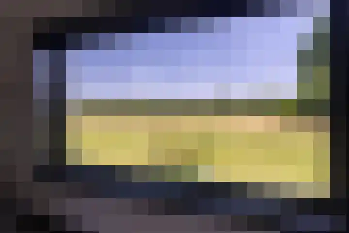 Balloo 90 Balloo thumbnail 17