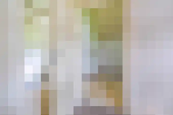 Balloo 90 Balloo thumbnail 27