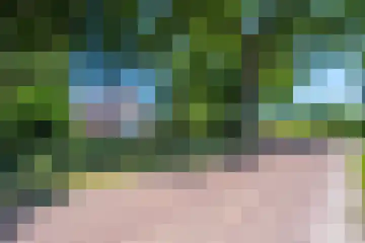 Balloo 90 Balloo thumbnail 51