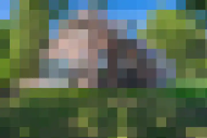 Balloo 90 Balloo thumbnail 53
