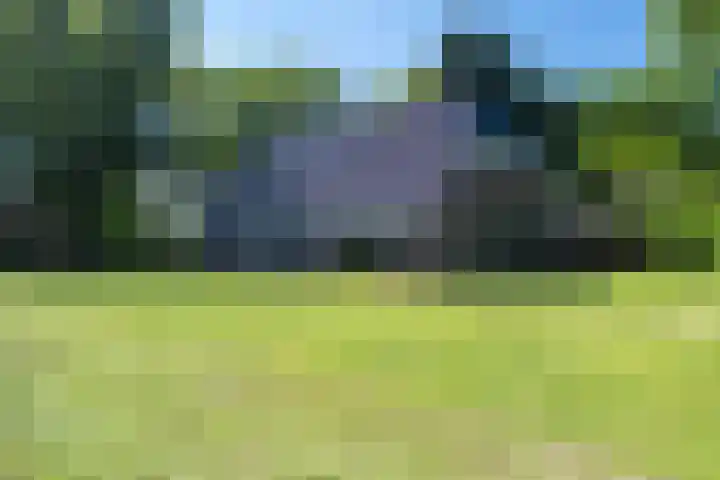 Balloo 90 Balloo thumbnail 55