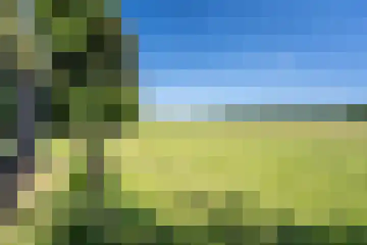 Balloo 90 Balloo thumbnail 58