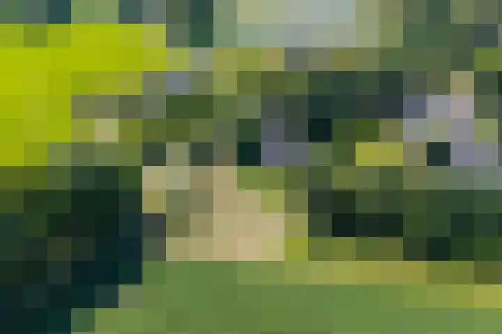 Balloo 90 Balloo thumbnail 59
