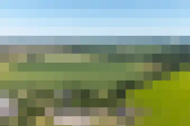 Balloo 90 Balloo thumbnail 6
