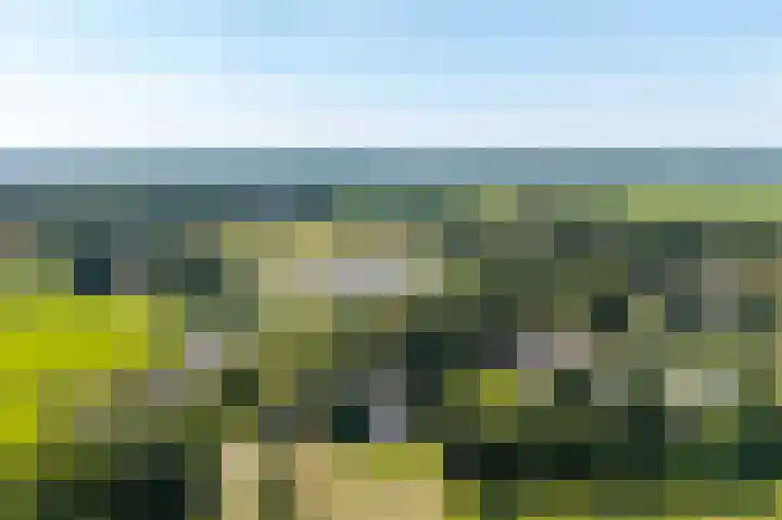 Balloo 90 Balloo thumbnail 62