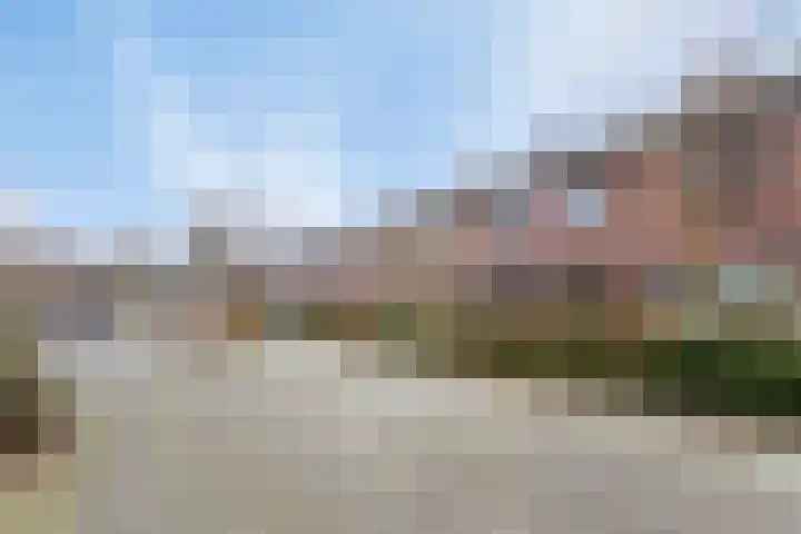 Balsemkruid 97 Rotterdam thumbnail 10