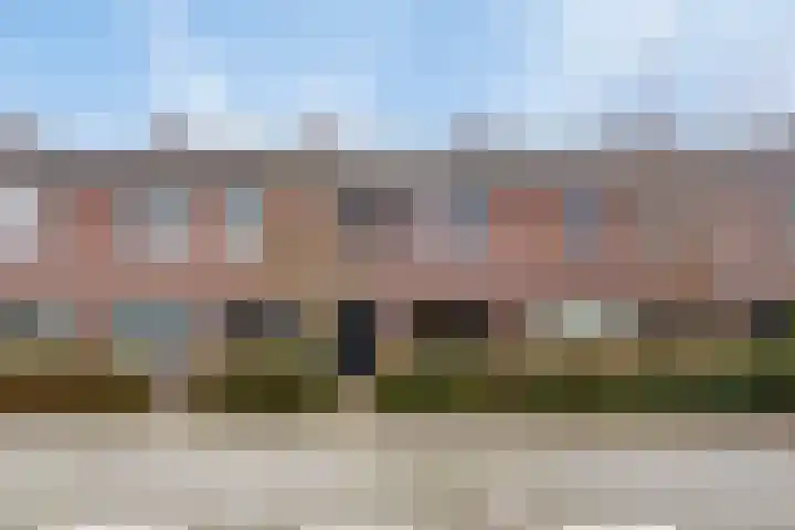 Balsemkruid 97 Rotterdam thumbnail 11