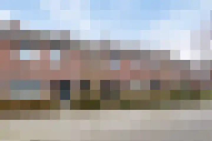 Balsemkruid 97 Rotterdam thumbnail 12