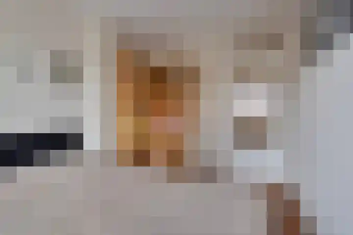 Balsemkruid 97 Rotterdam thumbnail 29