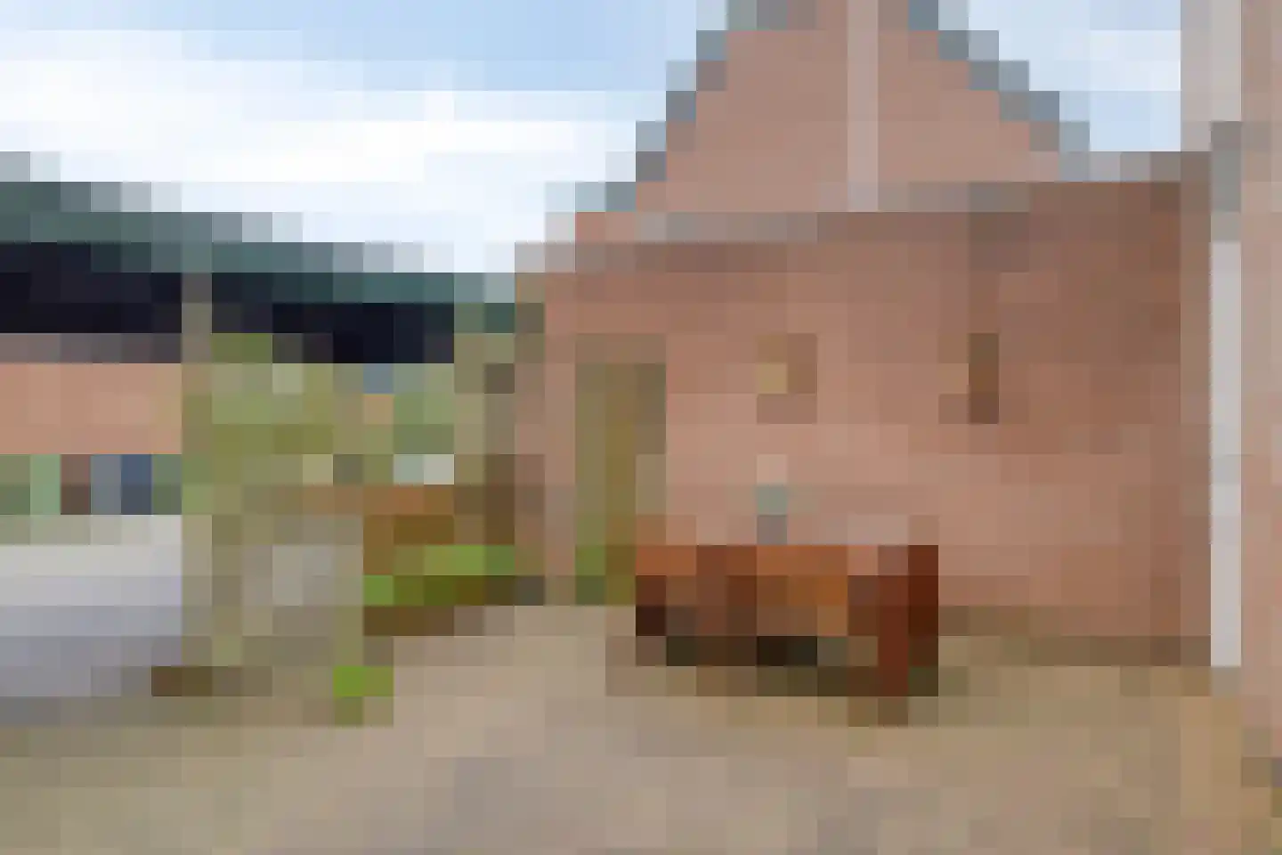 Balsemkruid 97 Rotterdam thumbnail 36
