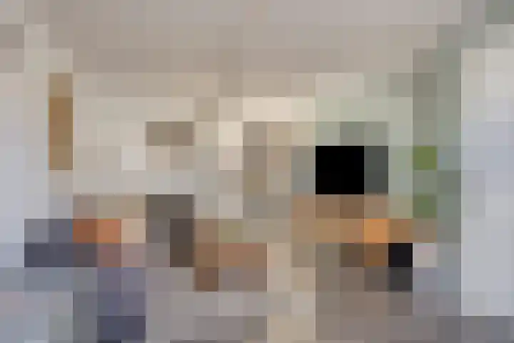 Balsemkruid 97 Rotterdam thumbnail 38