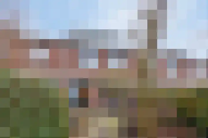 Balsemkruid 97 Rotterdam thumbnail 39