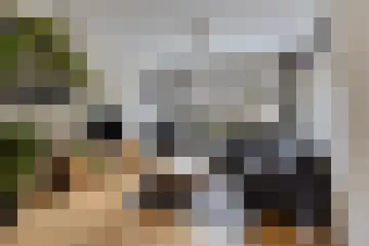 Balsemkruid 97 Rotterdam thumbnail 4