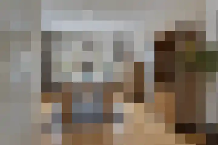 Balsemkruid 97 Rotterdam thumbnail 6