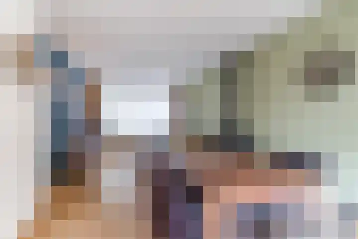 Baltesakker 12 Eindhoven thumbnail 12