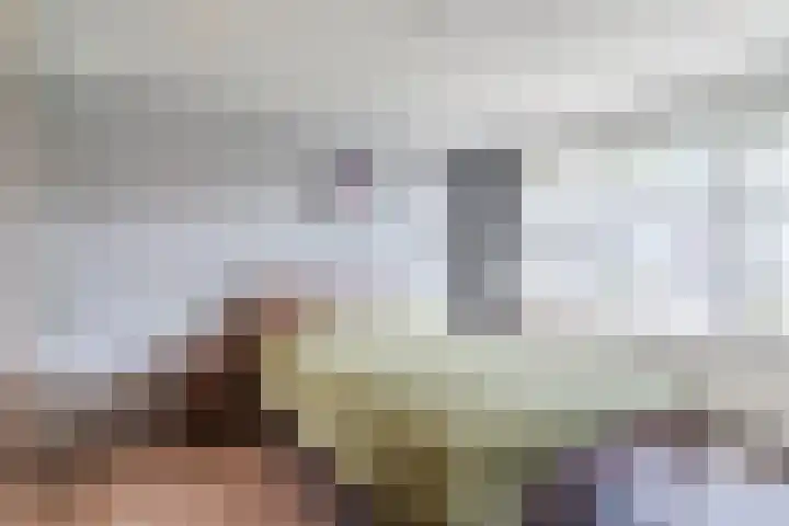 Baltesakker 12 Eindhoven thumbnail 19