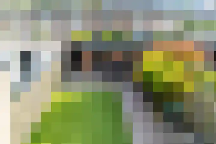 Baltesakker 12 Eindhoven thumbnail 30