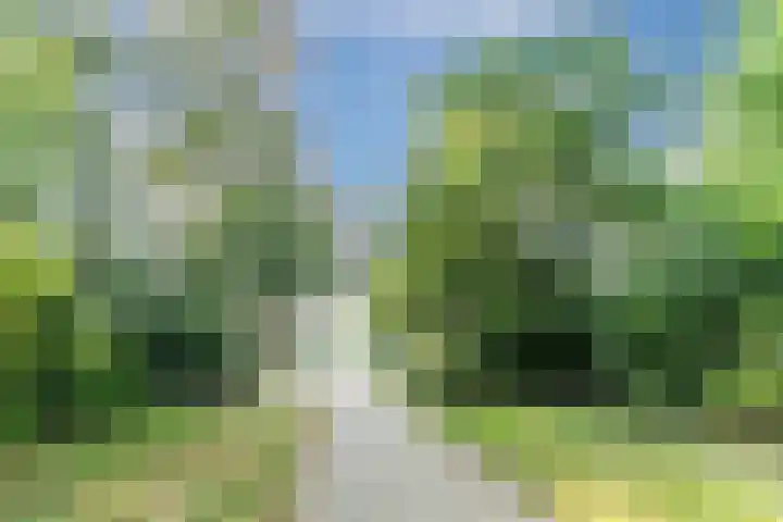 Baltesakker 12 Eindhoven thumbnail 36