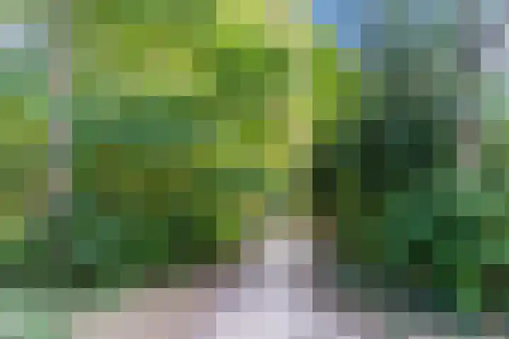 Baltesakker 12 Eindhoven thumbnail 38